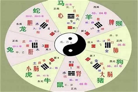 萱的五行|萱字的五行属性